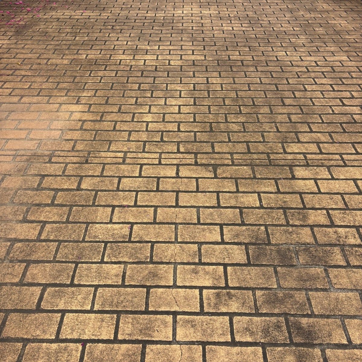 Driveway before