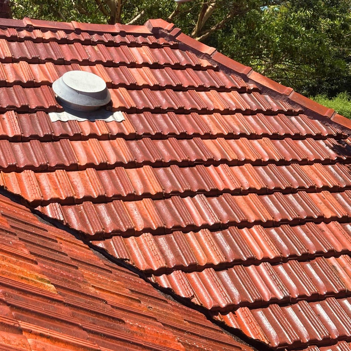 Roof Cleaning after