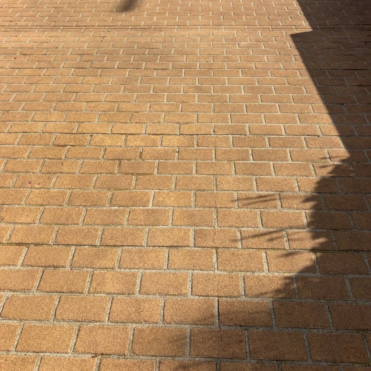 Clean brick driveway pavers after pressure washing in Sydney