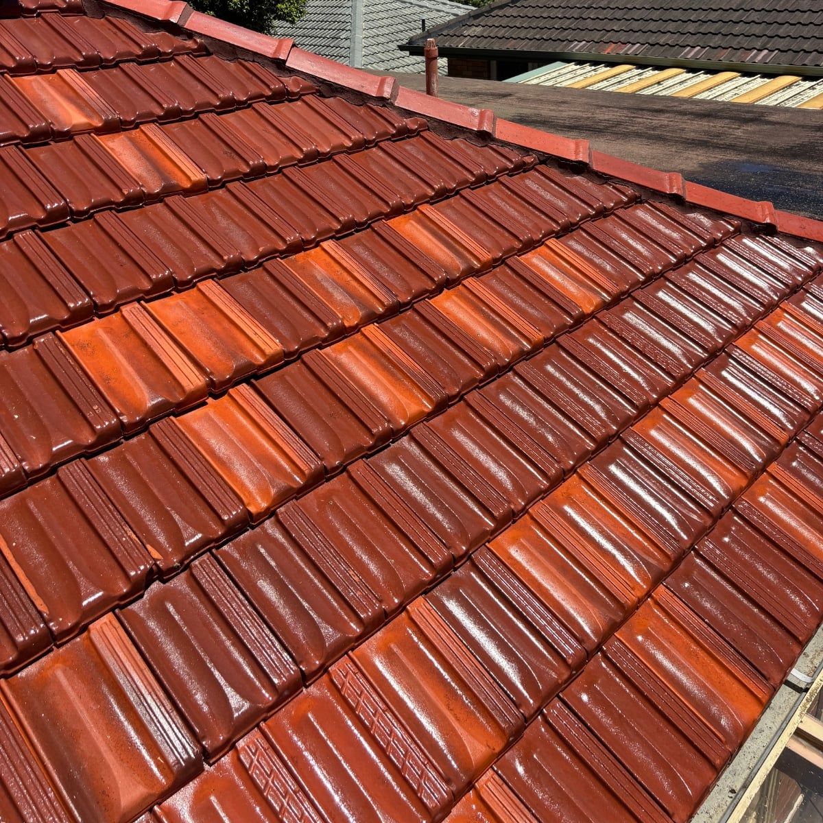 Restored roof tiles after moss and lichen removal in Sydney